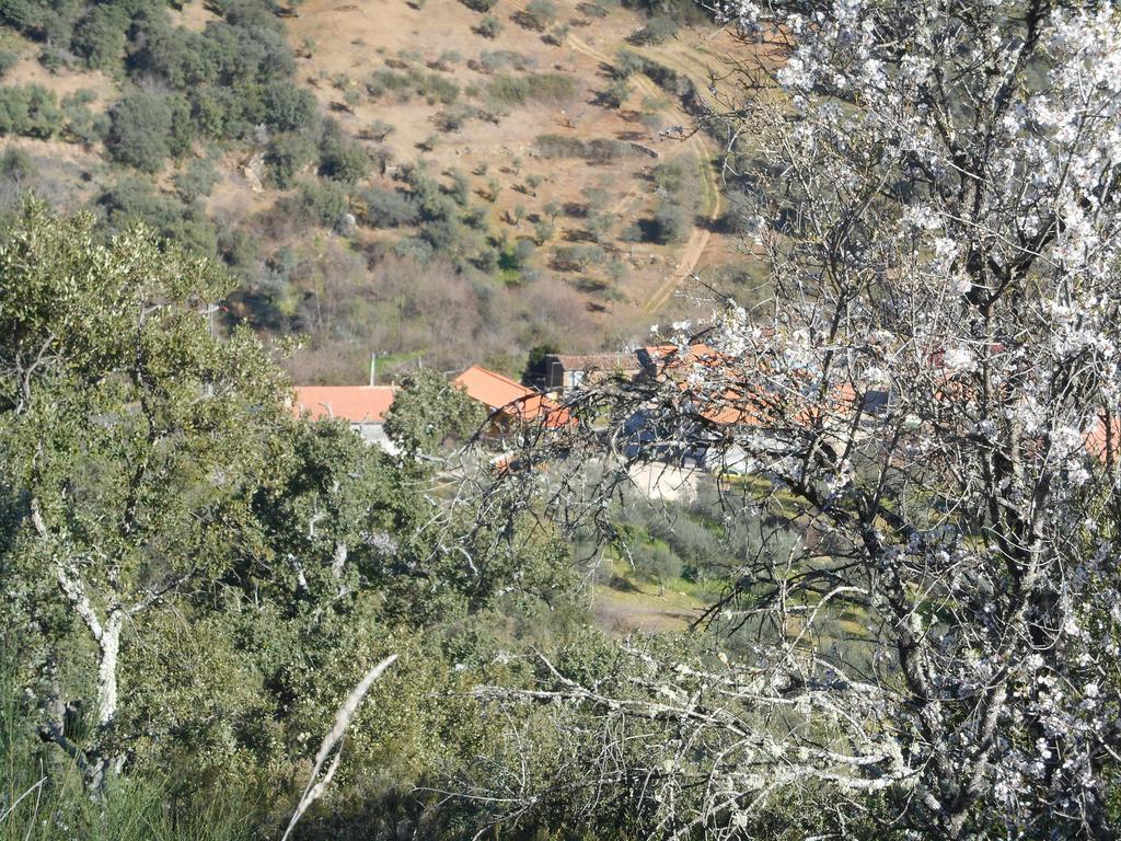 Casa Do Souto Villa Quinta do Souto Eksteriør billede
