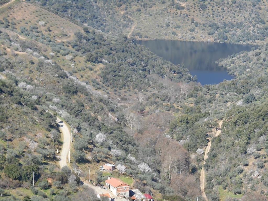 Casa Do Souto Villa Quinta do Souto Eksteriør billede