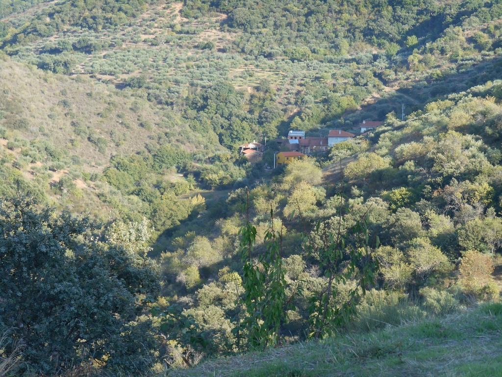 Casa Do Souto Villa Quinta do Souto Eksteriør billede